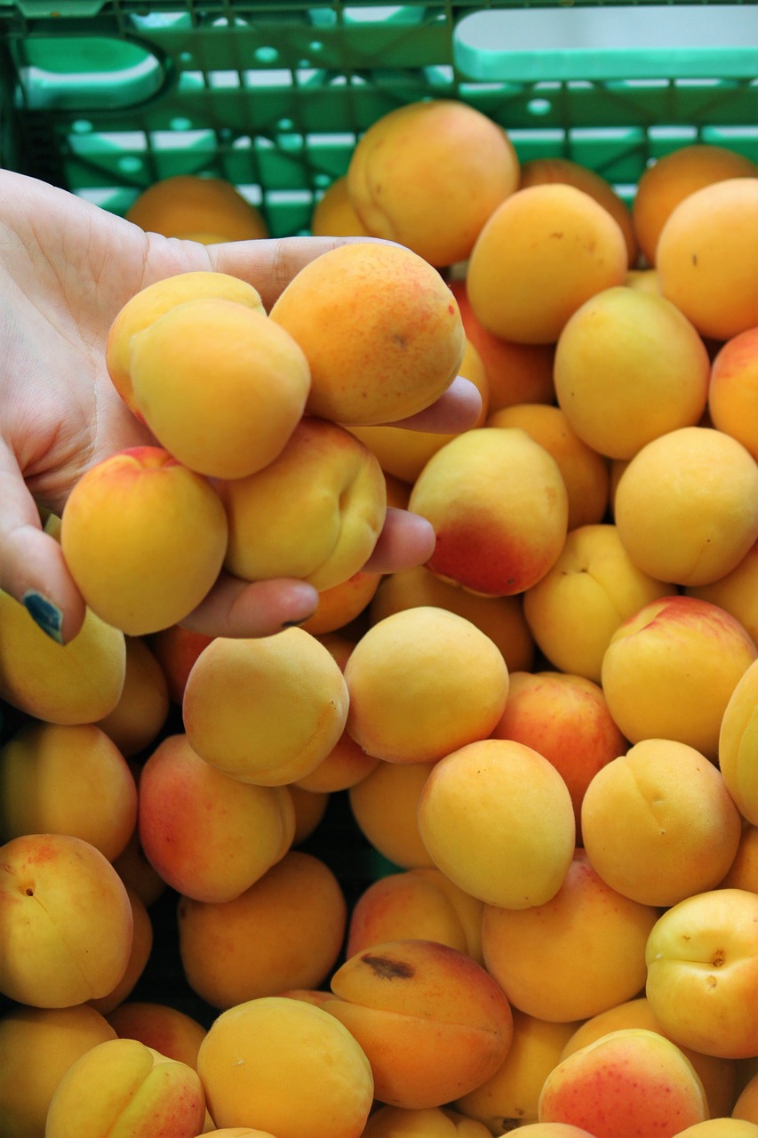 Image - apricots summer orange