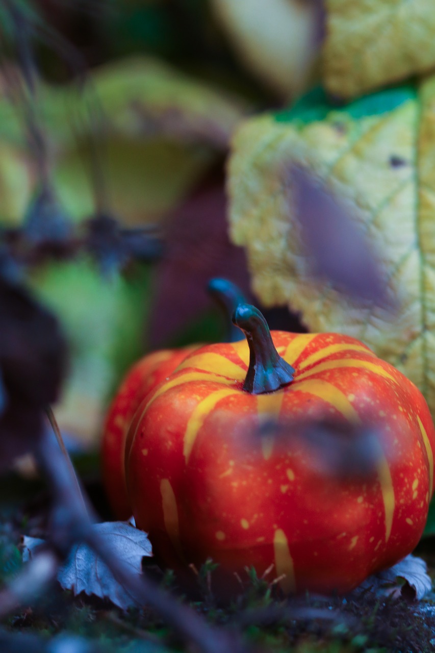 Image - pumkin halloween leaf season