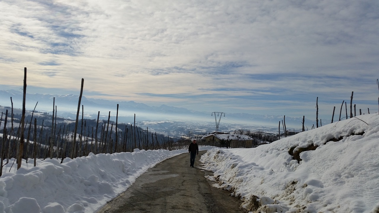 Image - langhe vineyards winter