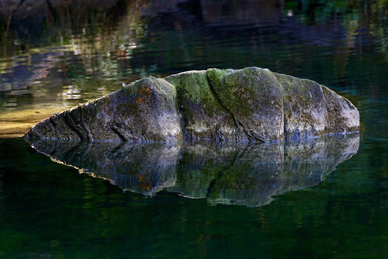 Image - rock water moss lichen mirroring