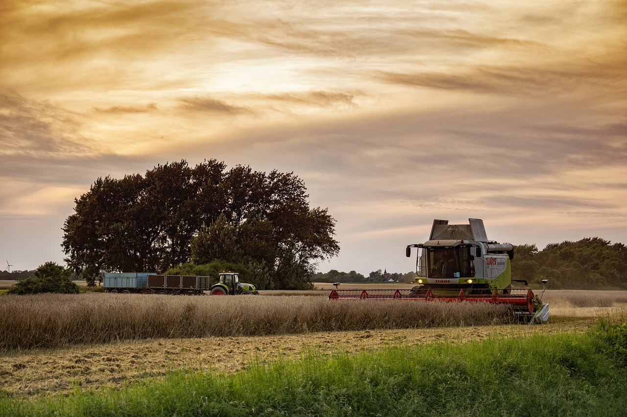 Image - harvest agriculture