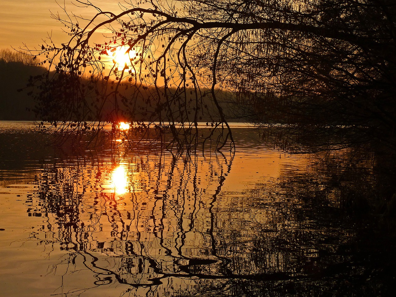 Image - sunset pond nature twilight summer