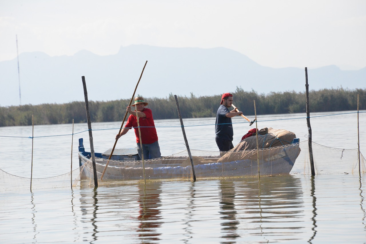 Image - nature albufera marine