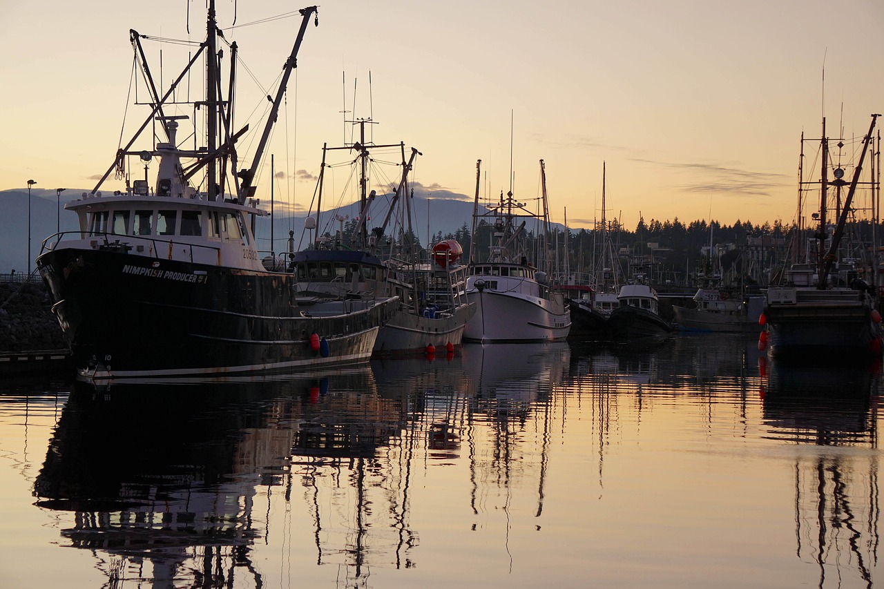 Image - comox harbor marina boats fishing