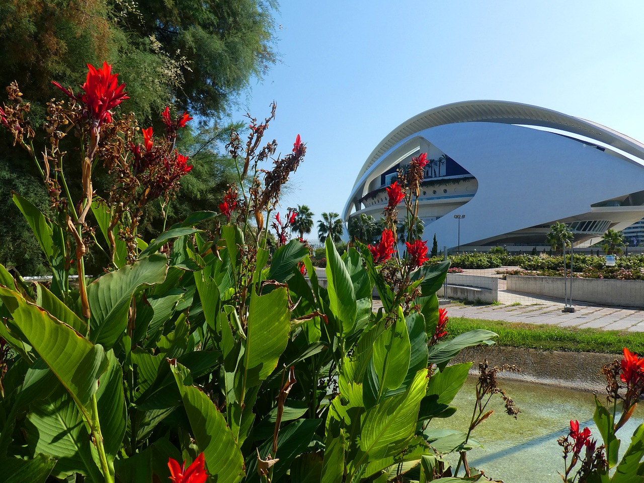 Image - gardens turia valencia spain