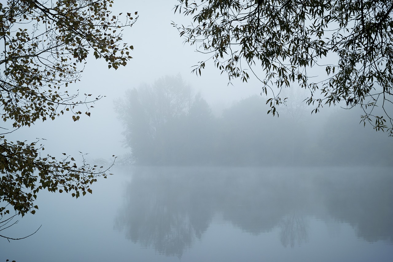 Image - fog lake mysterious mystical