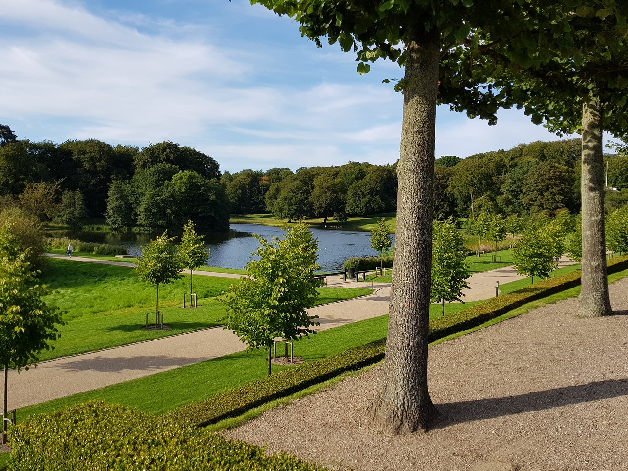 Image - natural green have grass