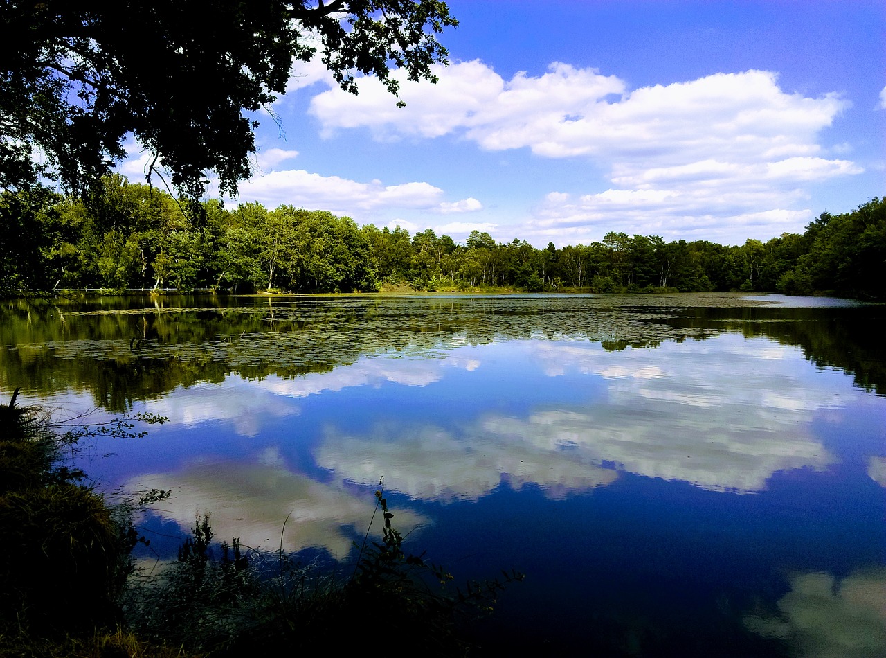 Image - sologne pond in valloire reflections