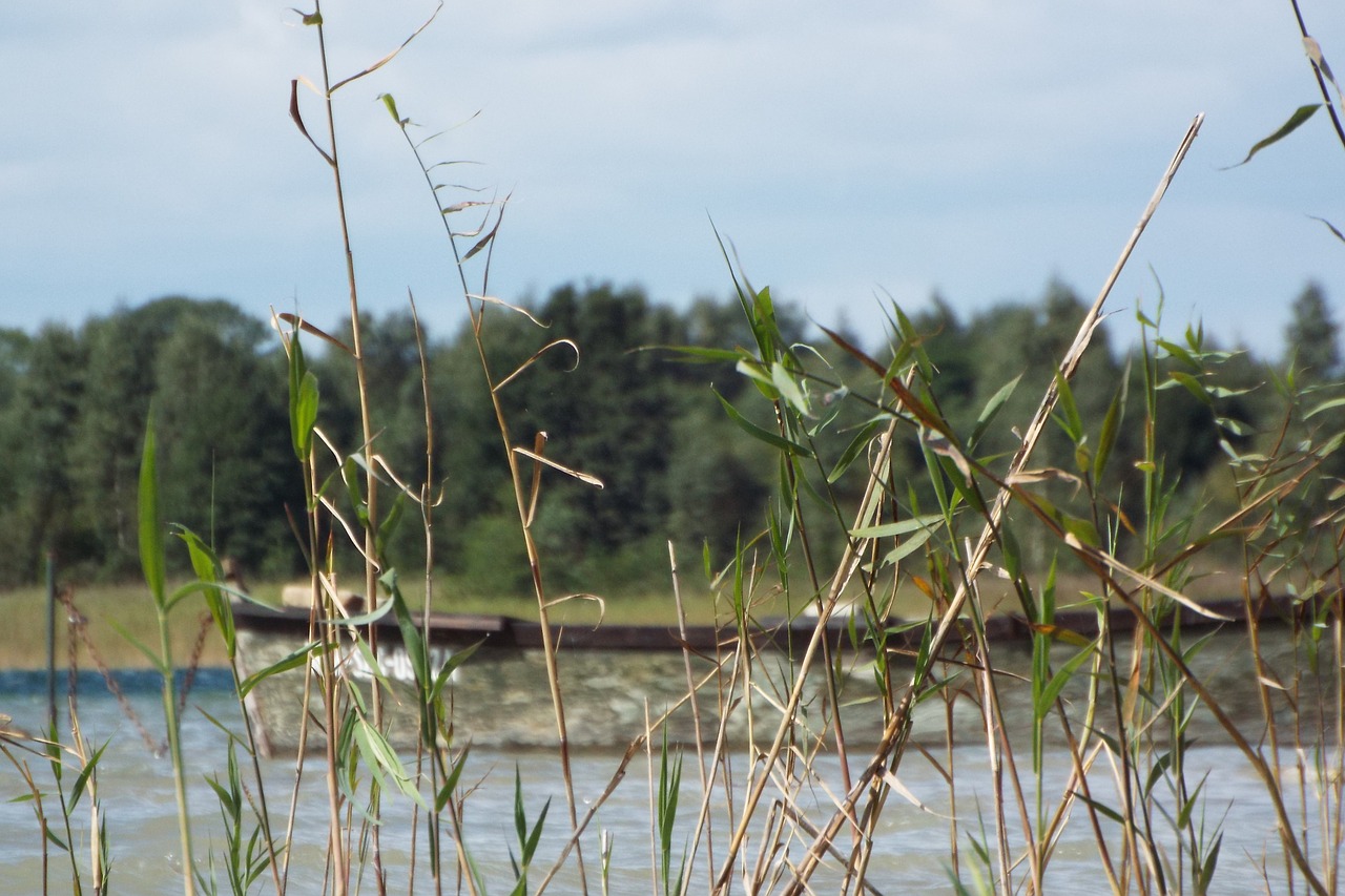 Image - boat lake water landscape rushes