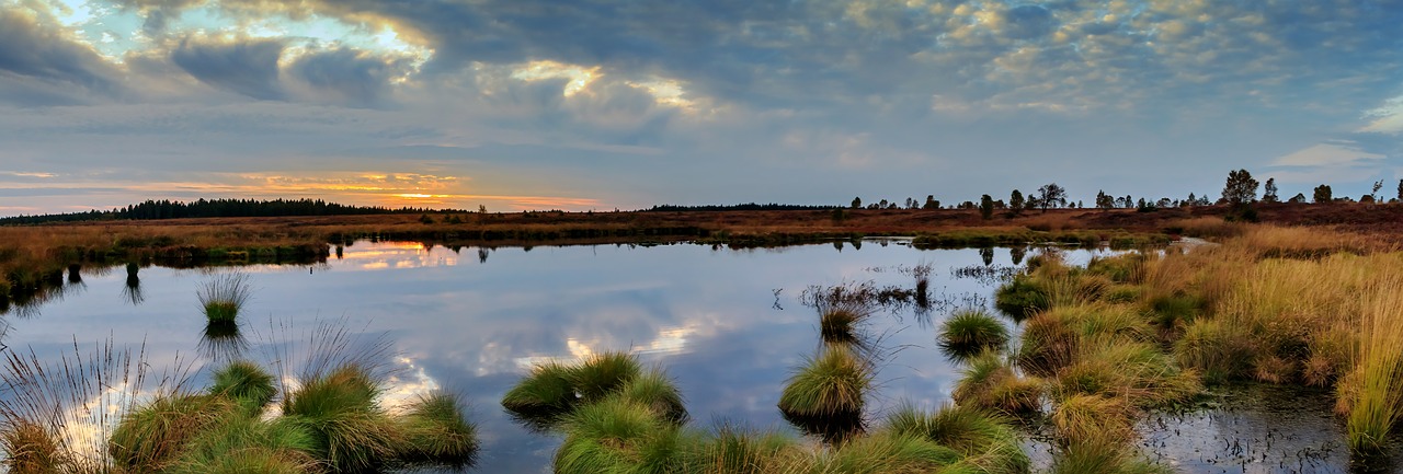 Image - panorama moor swamp