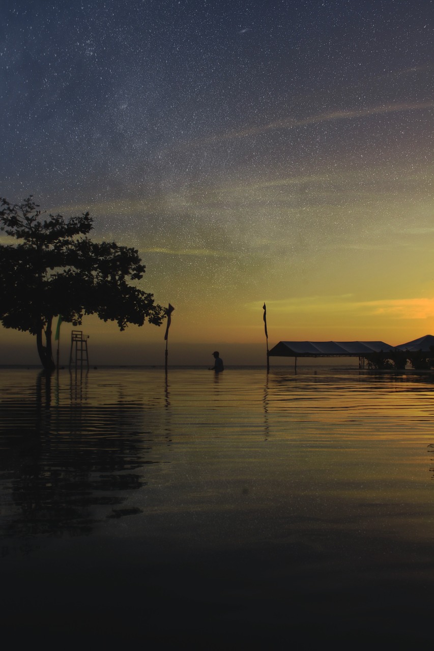 Image - stars water tree silhouette sunset