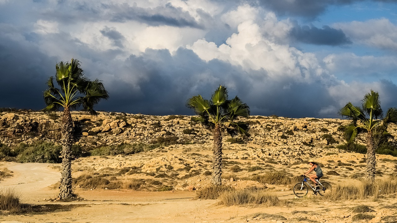 Image - palm trees sky clouds path girl