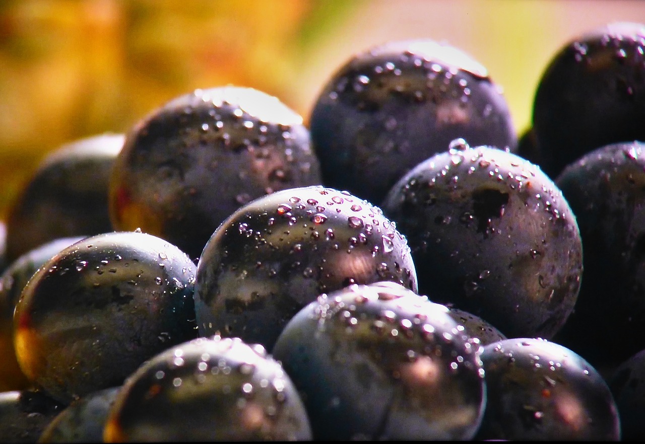 Image - grapes fruit blue after washing