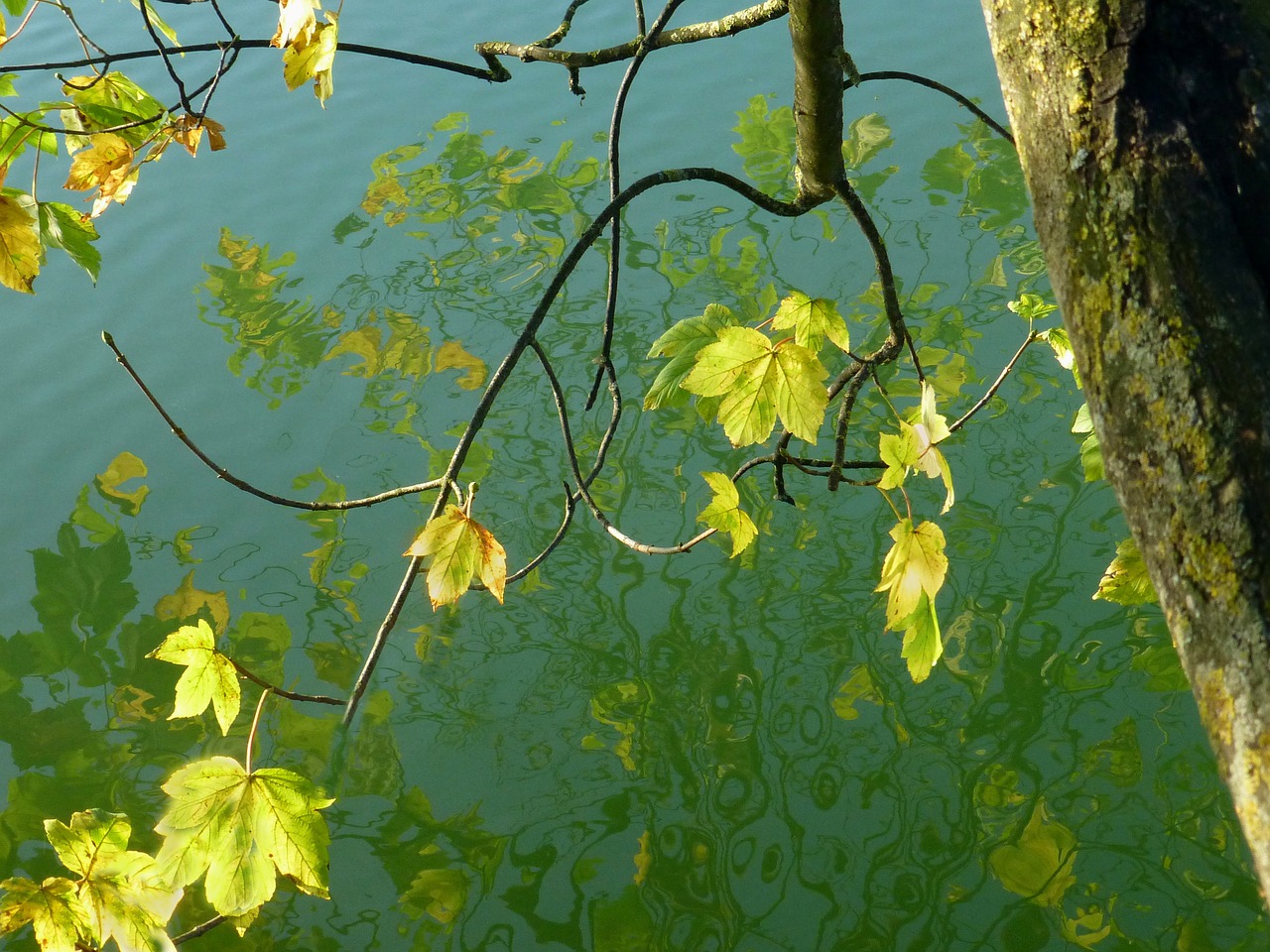 Image - golden autumn mirroring lake