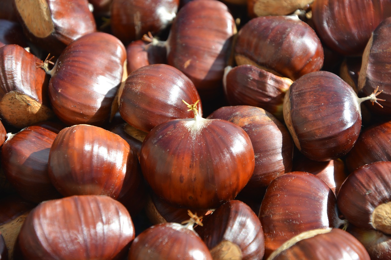 Image - chestnuts fruit chestnut nature