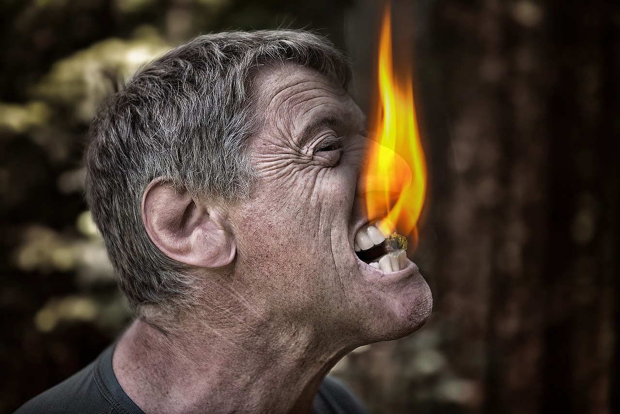 Image - bite fire coal angry man nature