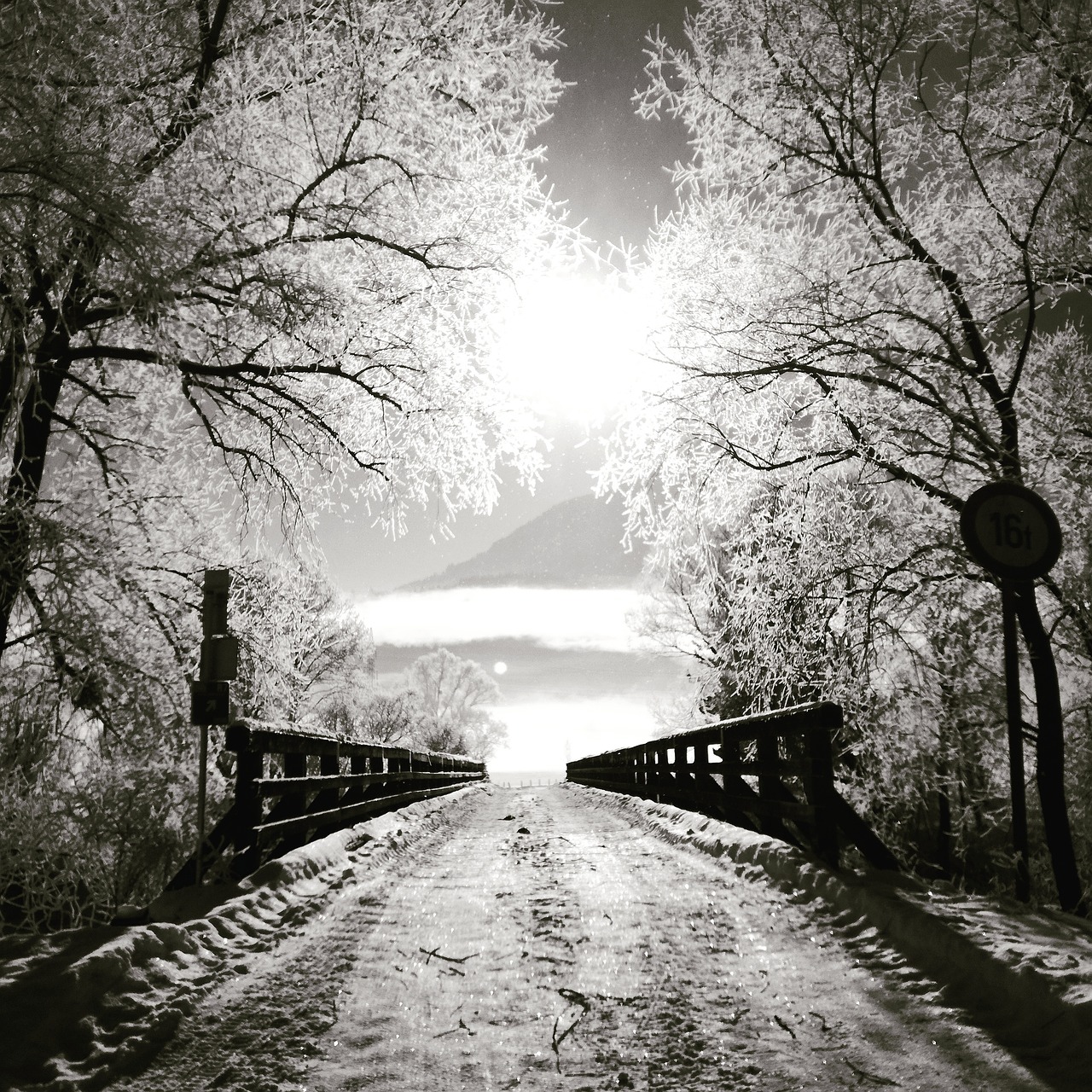 Image - bridge sun winter