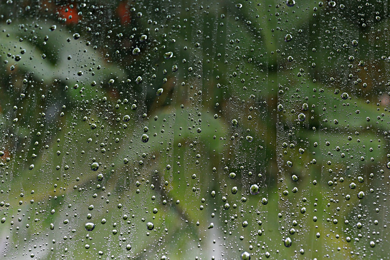 Image - rain raindrops windowpane window