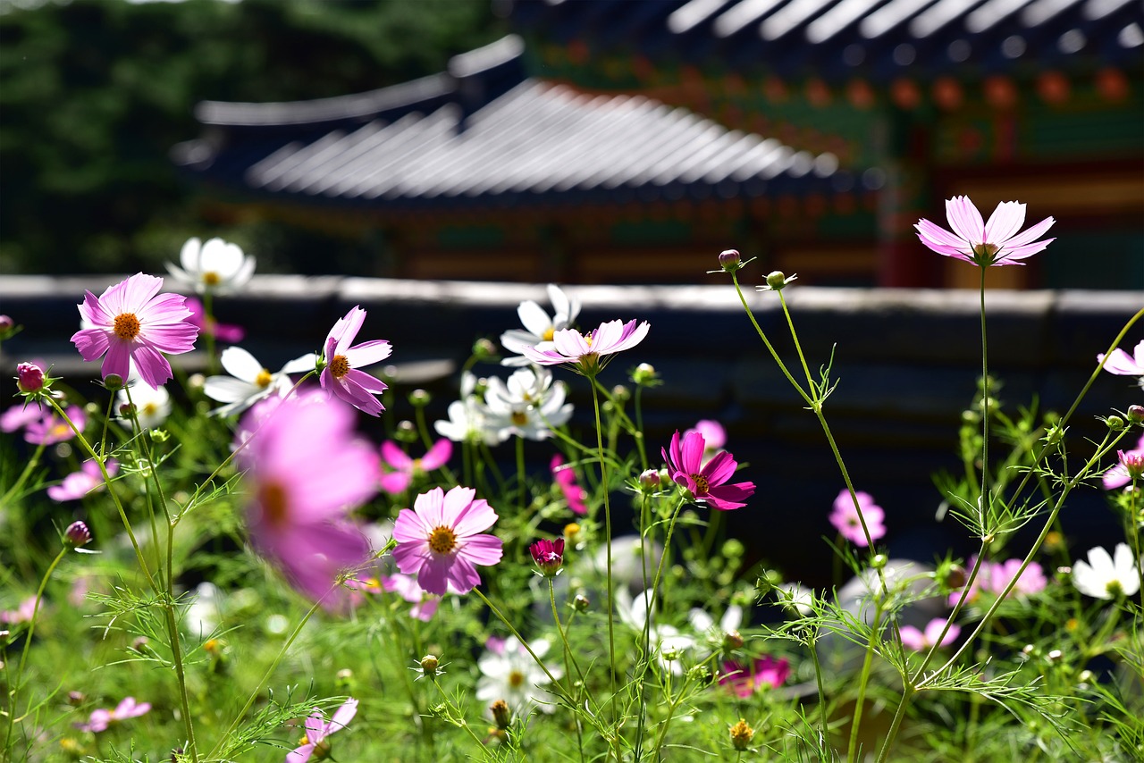 Image - temple korea incheon ganghwado
