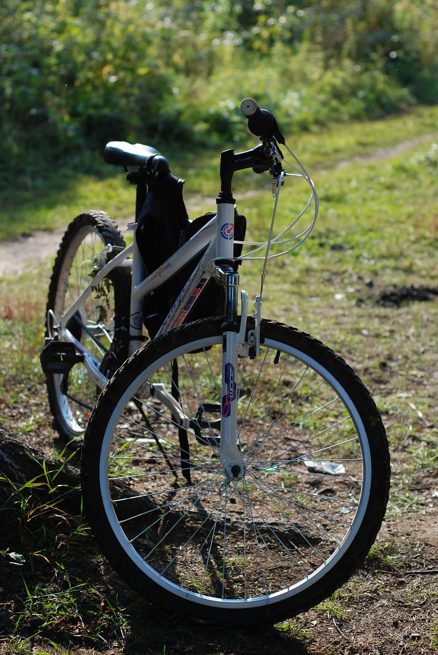 Image - bike forest autumn grass