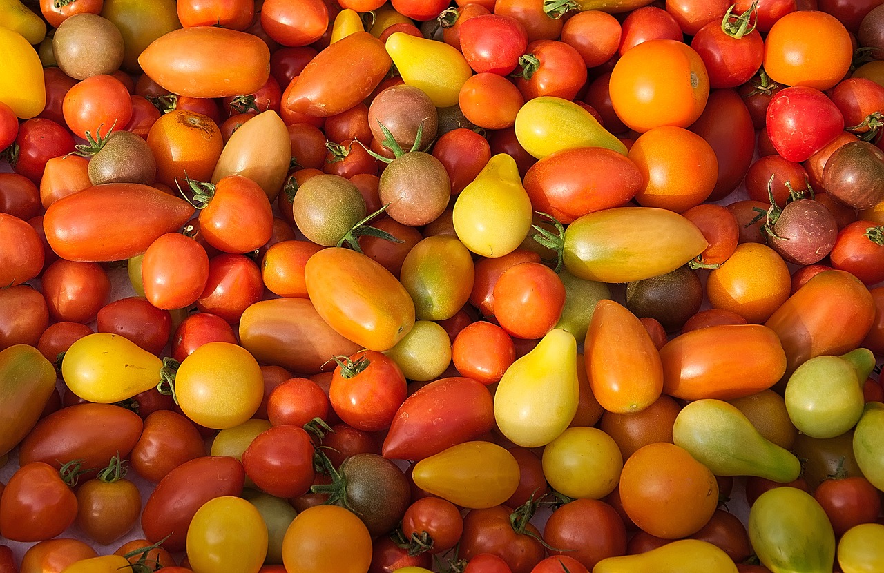 Image - red tomatoes yellow tomatoes