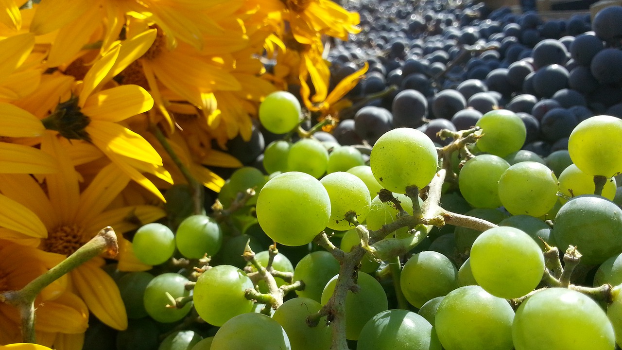 Image - grapes flowers autumn