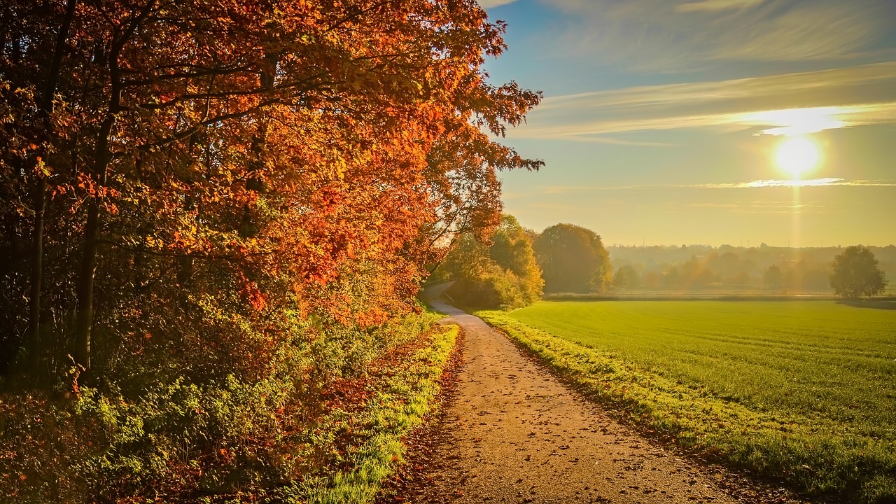 Image - sunset autumn landscape sunlight