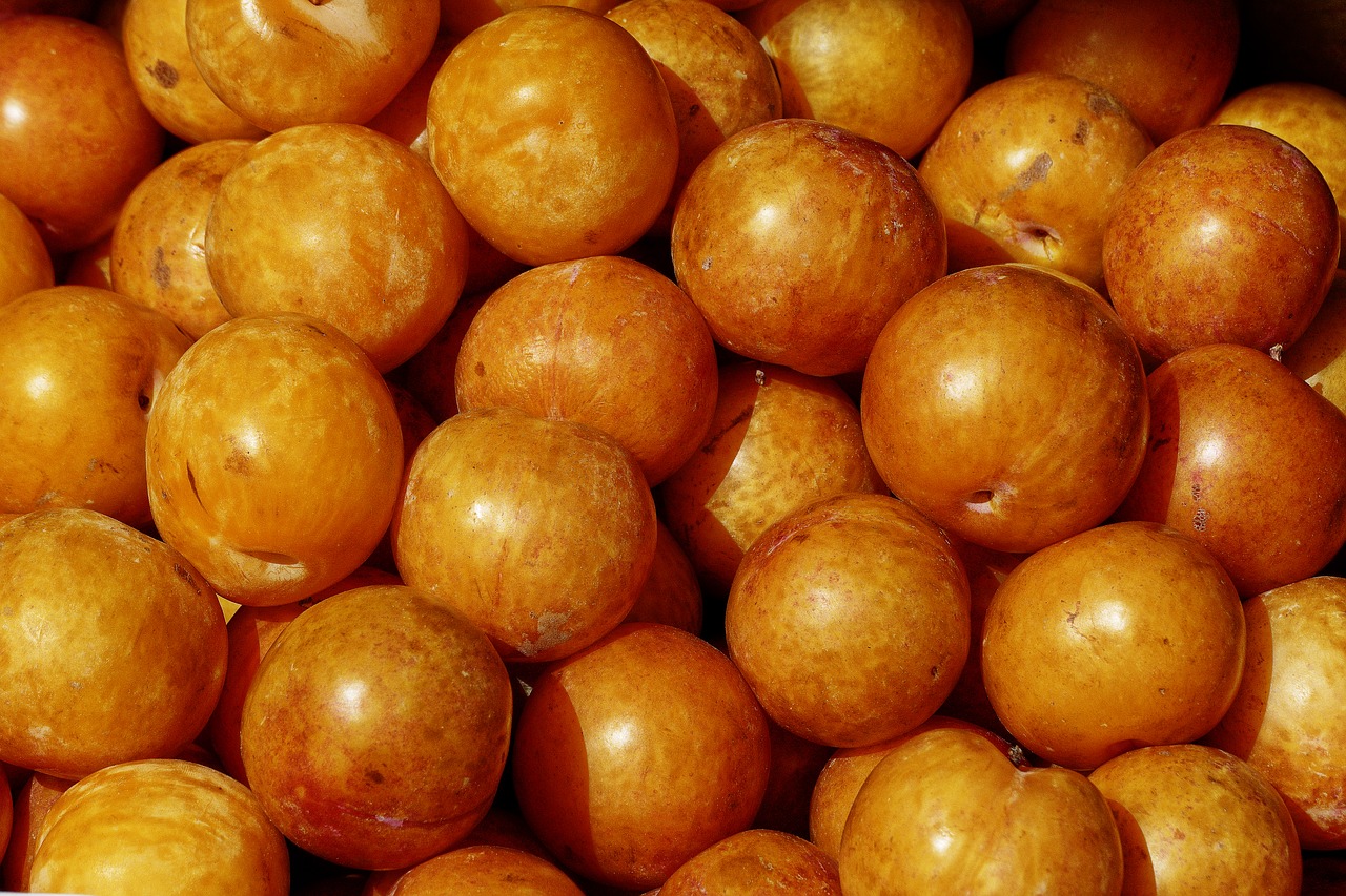 Image - apricot fruit stone fruit