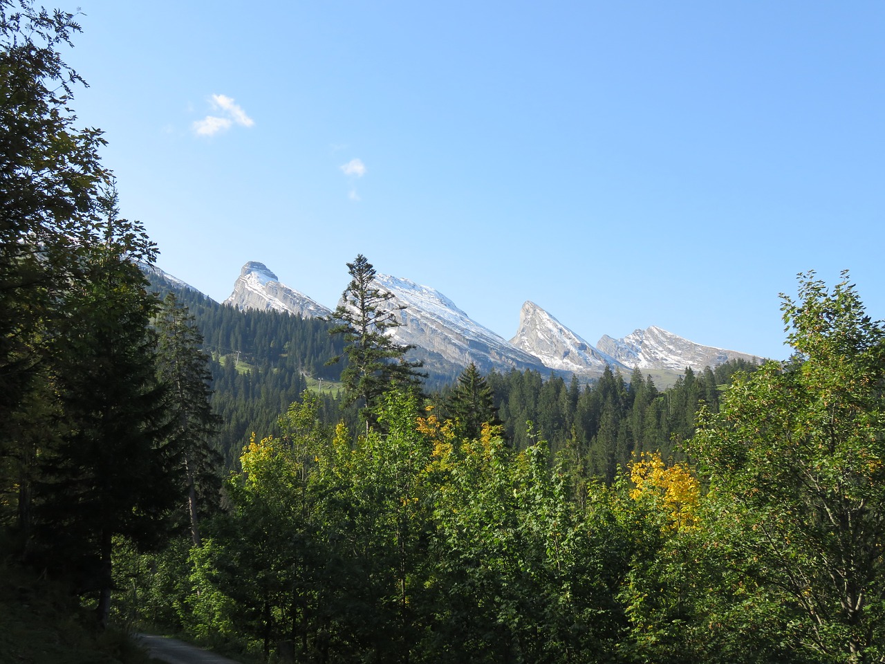 Image - switzerland mountains wildhaus