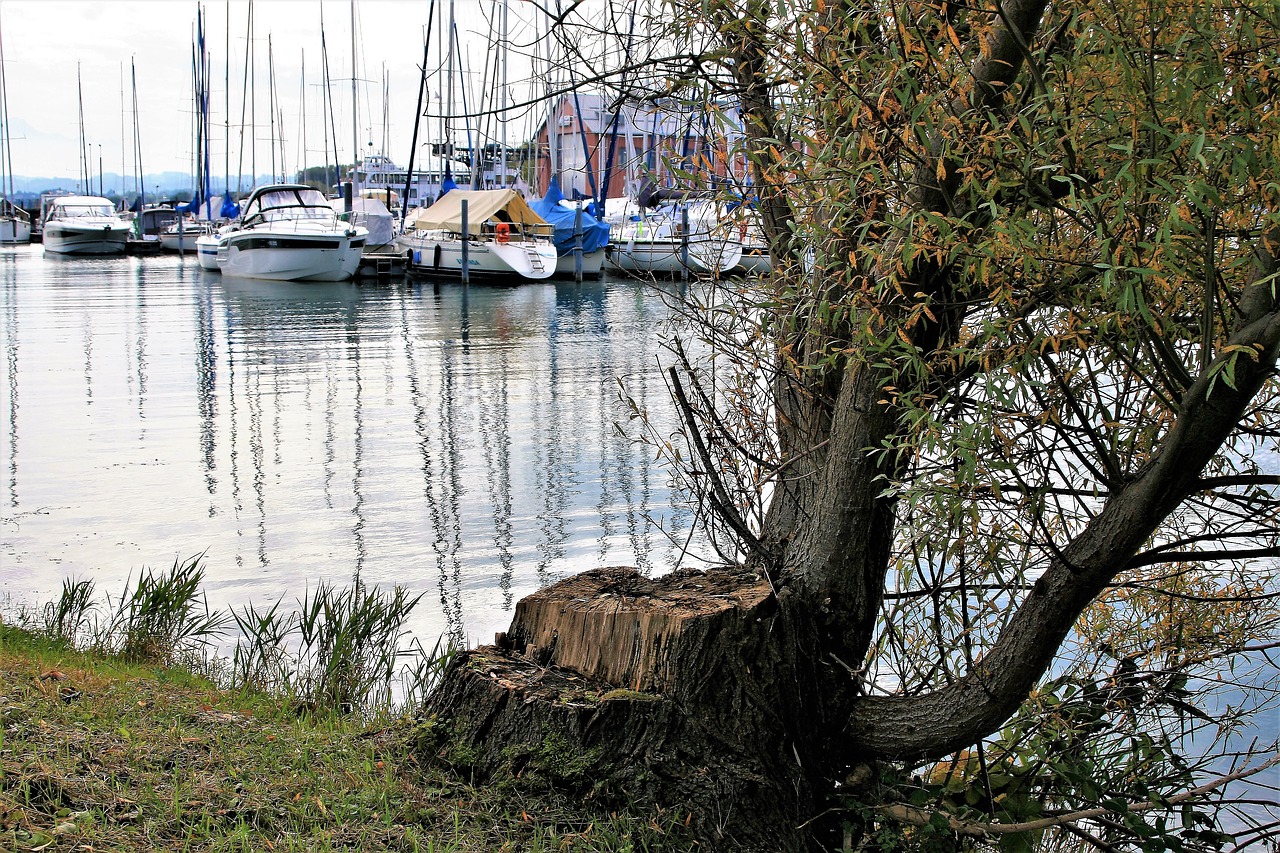 Image - sailboats bodensee water surface