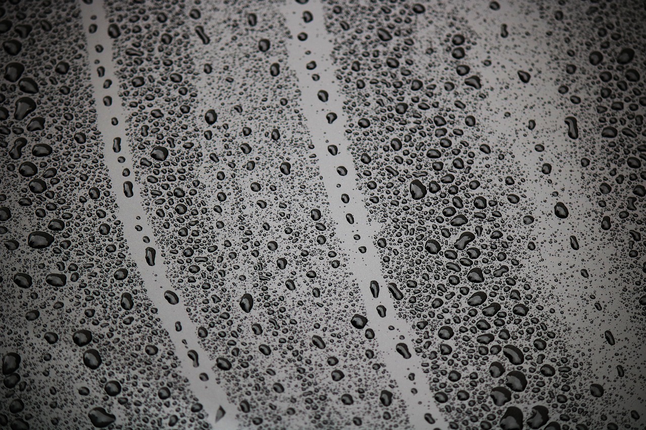 Image - drip wet drop of water rain water