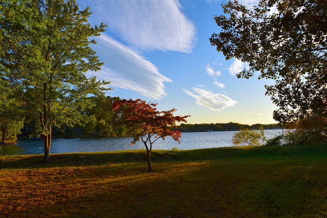 Image - tree lake sunset autumn sky