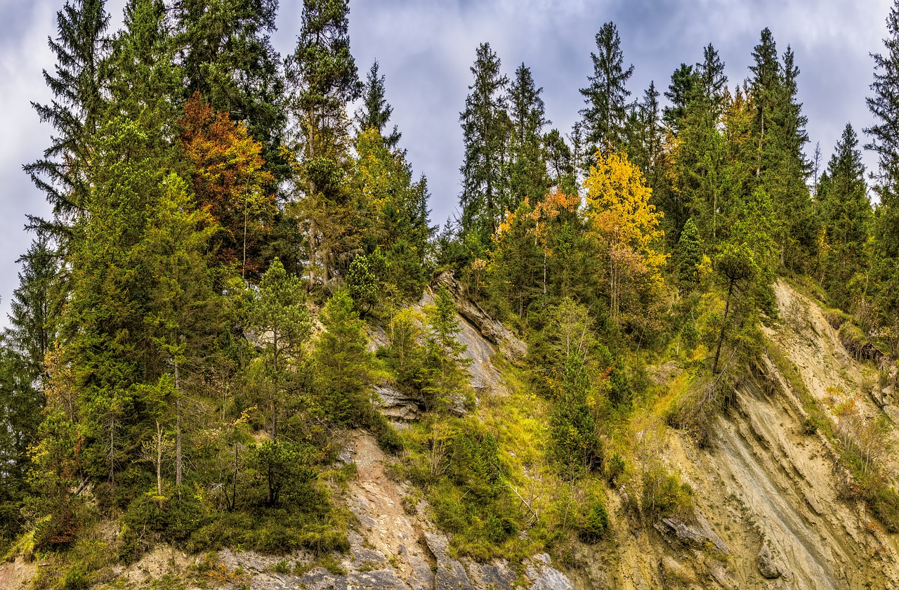 Image - mountain trees rock autumn color