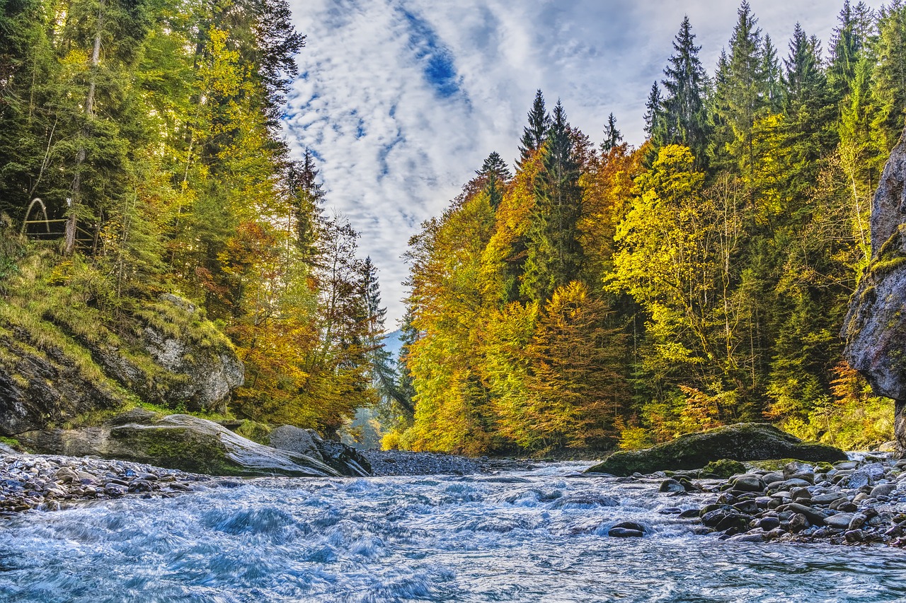 Image - ammer alpine autumn trees river