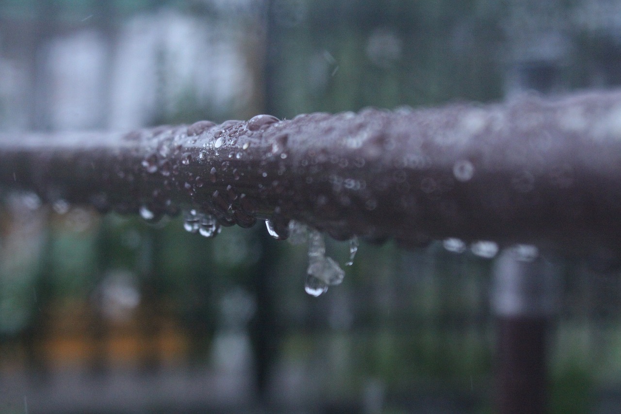 Image - water rain close up nature wet