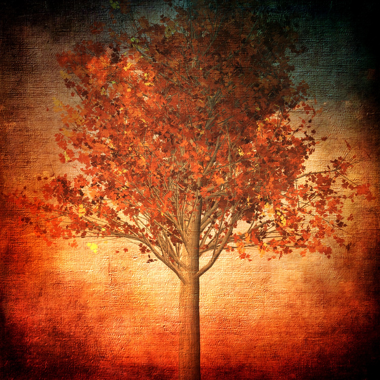 Image - autumn fall foliage tree leaves