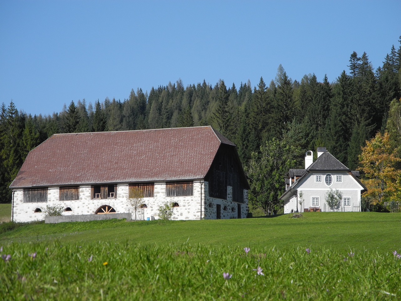 Image - farm meadow nature rural styria