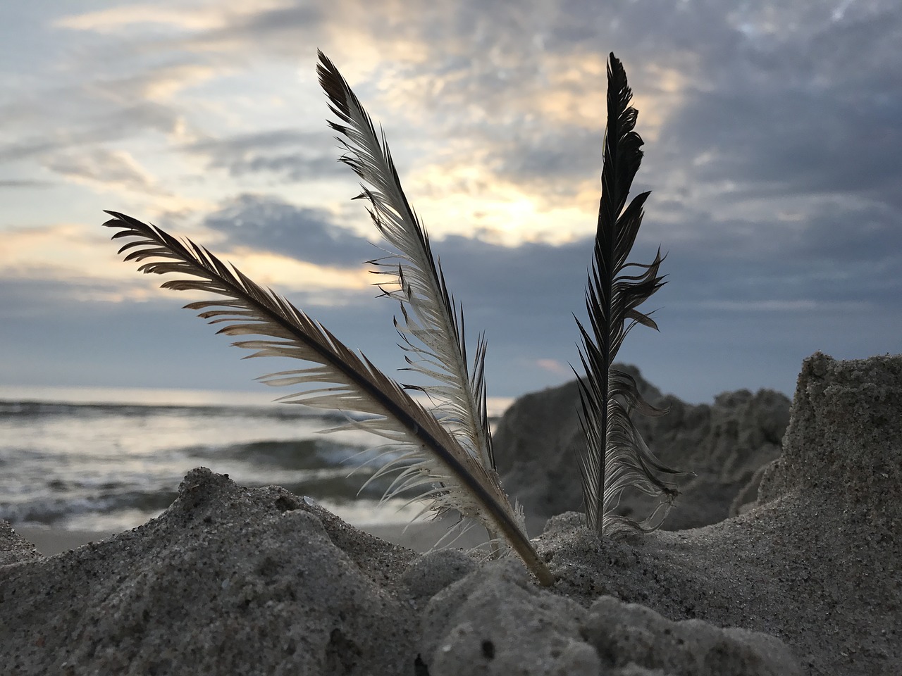 Image - sea feather sand holiday blue