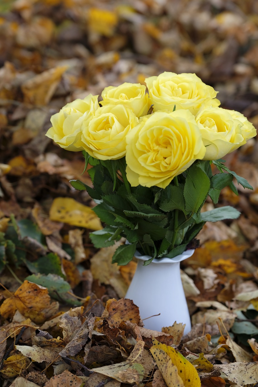 Image - roses flowers bouquet autumn