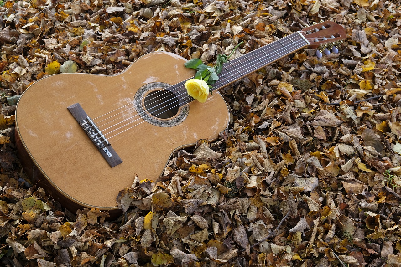Image - guitar instrument musical instrument