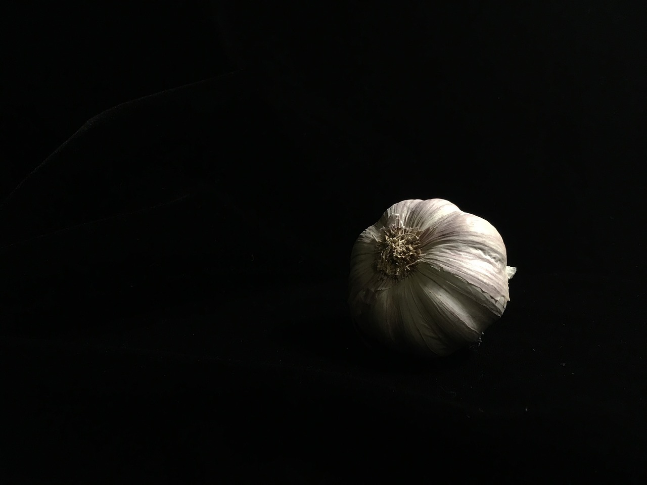 Image - black low key garlic vegetable