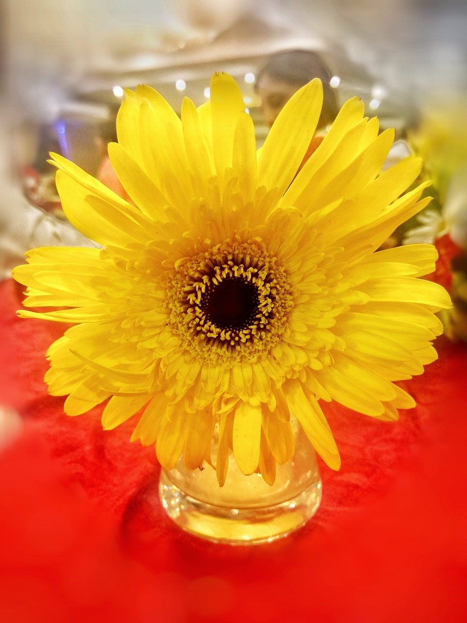 Image - sunflower flower pot yellow