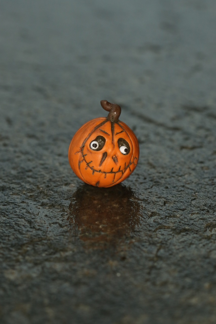Image - pumkin fall autumn halloween