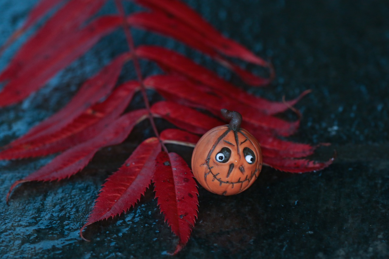 Image - leaf autumn leaf pumkin fall