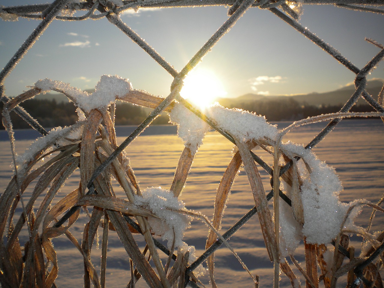 Image - snow sunrise fence morning cold