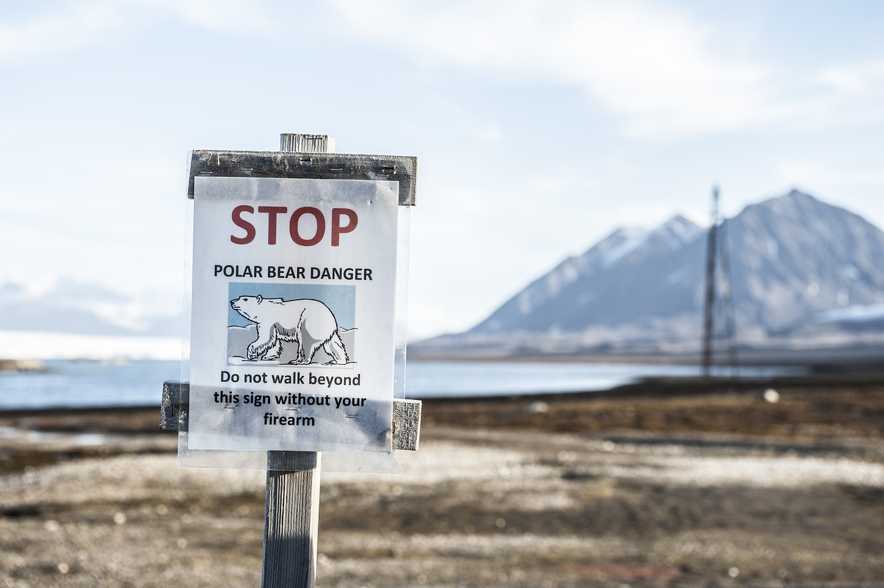 Image - ny ålesund warnschild polar bear