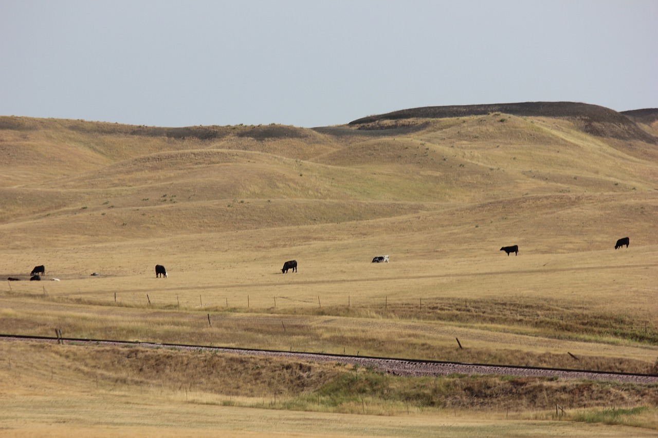 Image - prairie field landscape meadow