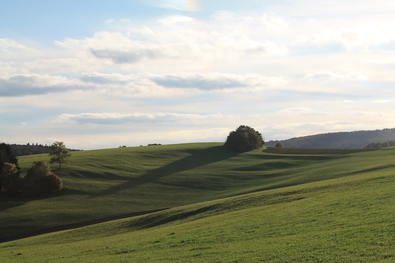 Image - meadow landscape nature sky tree