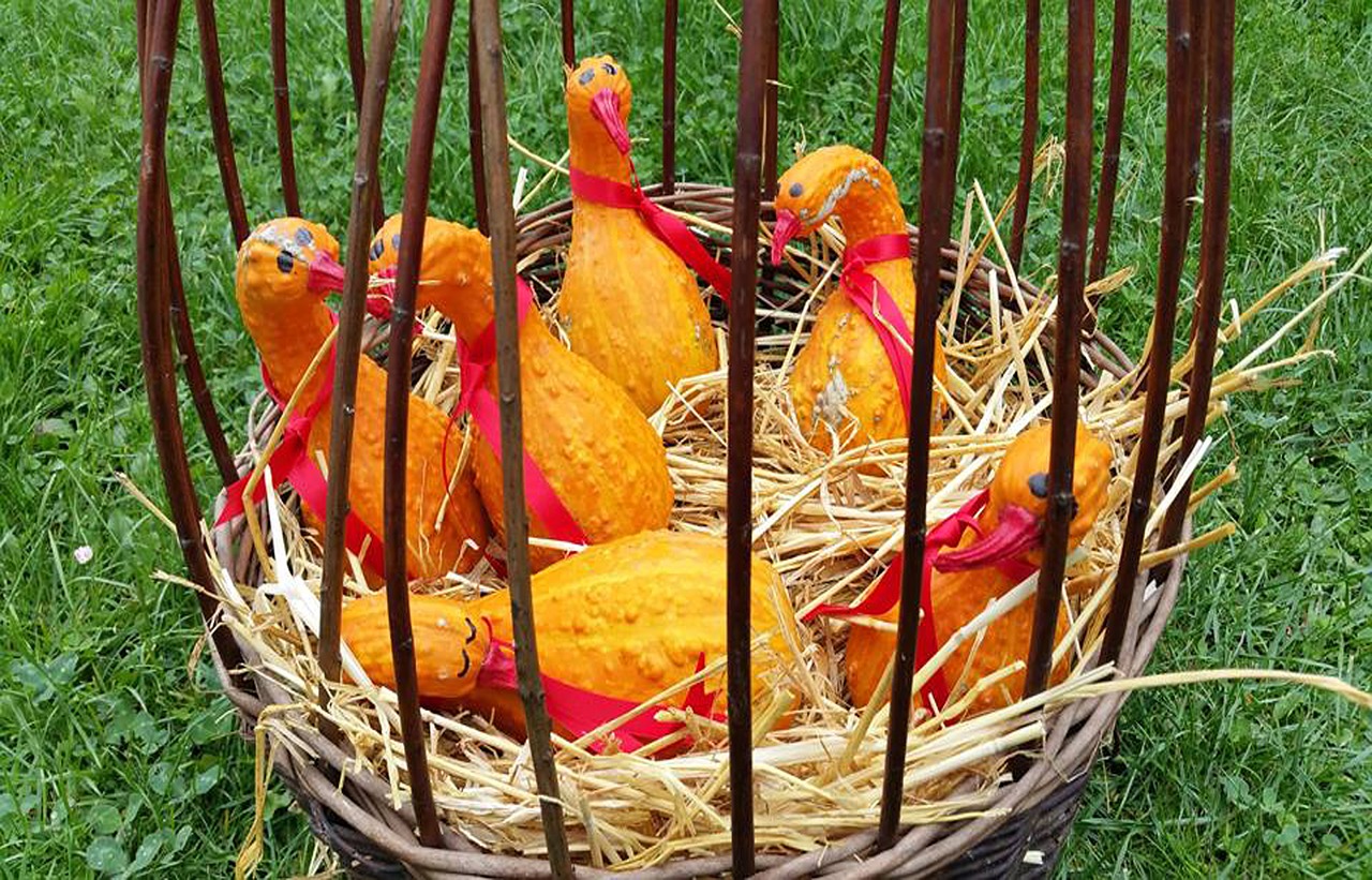 Image - autumn decoration geese pumpkins