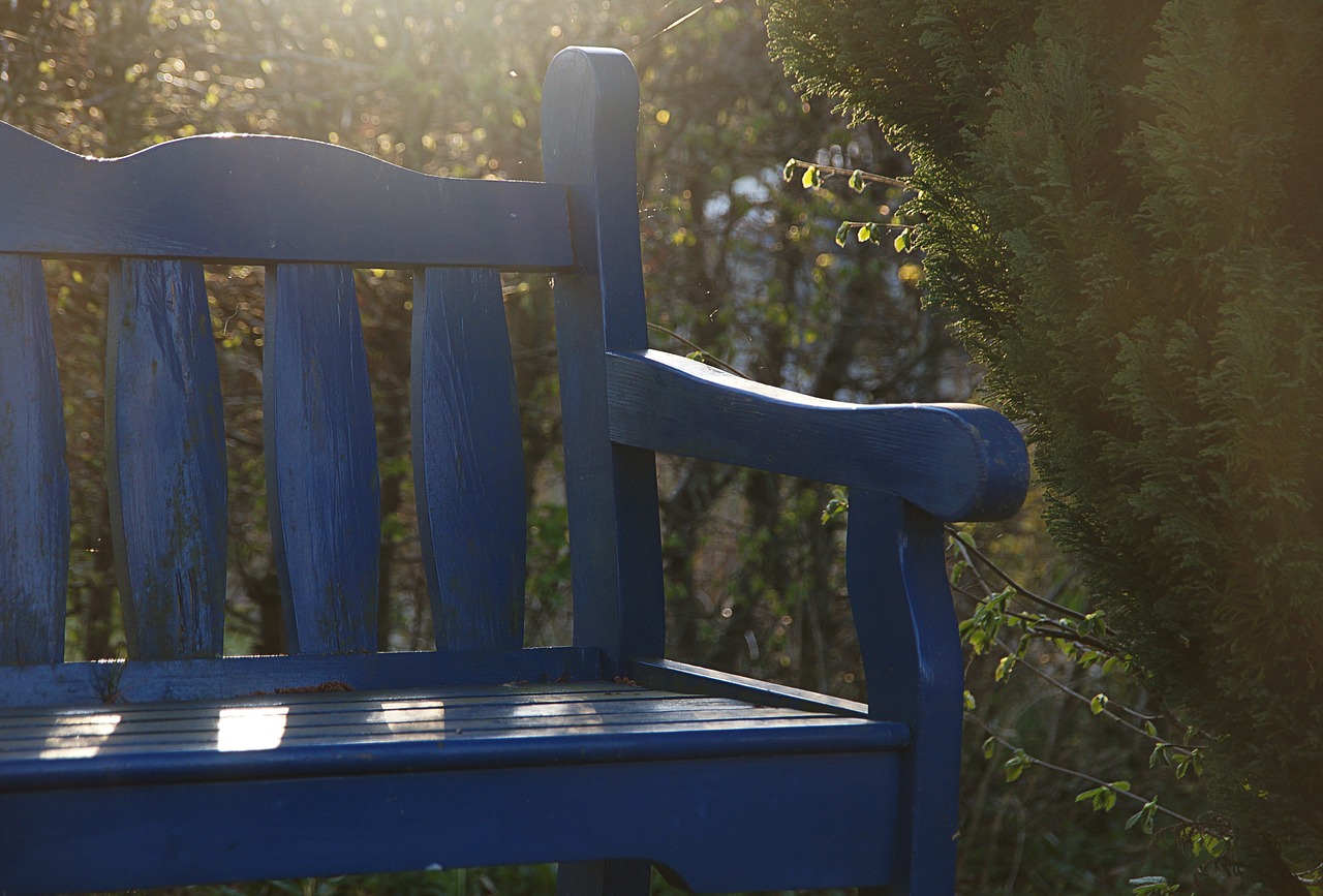 Image - bench garden bench back light blue